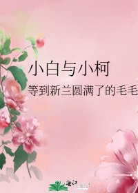 小白与小柯