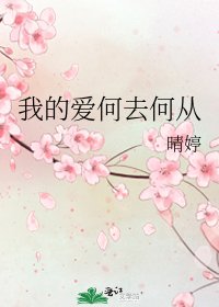 《我的爱何去何从》