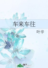 《车来车往》