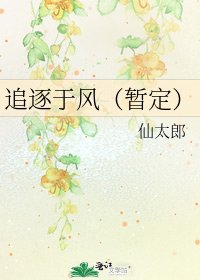 《追逐于风(暂定)》