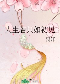 《人生若只如初见》