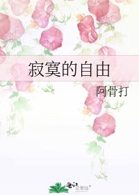 《寂寞的自由》