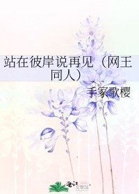 《站在彼岸说再见(网王同人)》