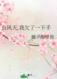台风天,我欠了一下手