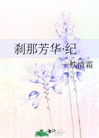 《刹那芳华·纪》