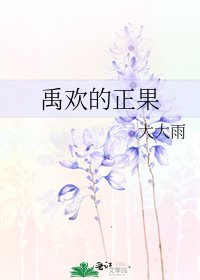 《禹欢的正果》