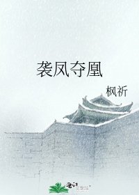 《袭凤夺凰》