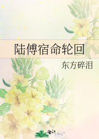 《陆傅宿命轮回》