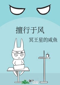 《擅行于风》