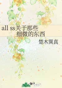 《all ss关于那些细微的东西》