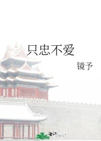 《只忠不爱》