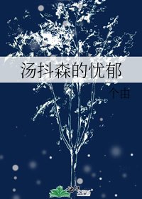 《锤基 海森汤抖森的忧郁》