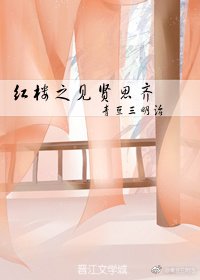 《红楼之见贤思齐》