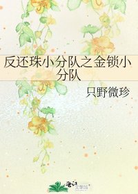 《反还珠小分队之金锁小分队》