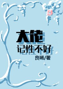 《大佬记性不好》