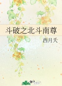《斗破之北斗南尊》