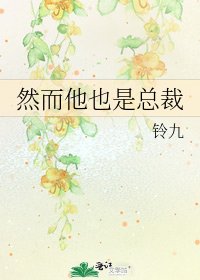《然而他也是总裁》