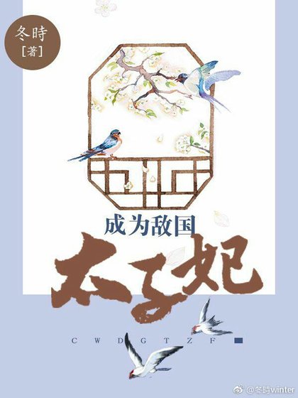 《成为敌国太子妃》