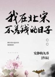 《我在北宋不差钱的日子》