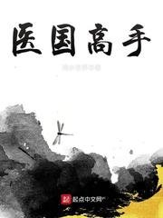 《医国高手》