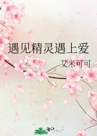 《遇见精灵遇上爱》