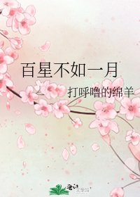 《百星不如一月》