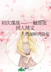 《初次谍战——一触即发同人续文》