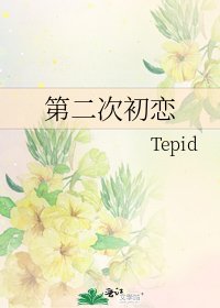 《第二次初恋》