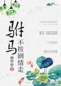 《驸马不按剧情走》