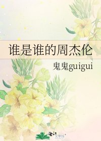 《谁是谁的周杰伦》