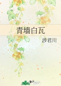 《青墙白瓦》