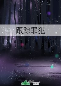 《跟踪罪犯》