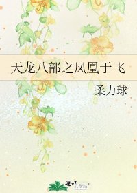 《天龙八部之凤凰于飞》