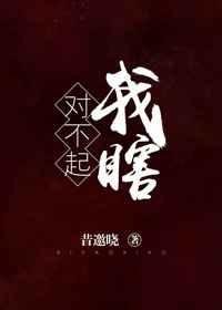《对不起,我瞎》
