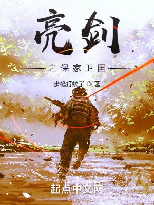 《亮剑之保家卫国》