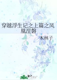 《穿越浮生记之上篇之凤凰涅磐》