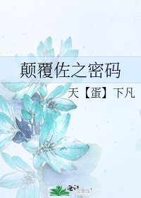 《颠覆佐之密码》