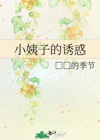 《小姨子的诱惑》