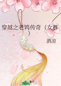 《穿越之老鸨传奇(女尊)》