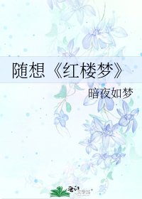 《红楼梦》