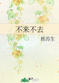 《不来不去》