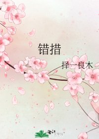 《错措》