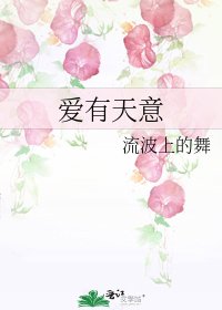 《爱有天意》