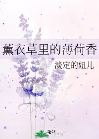《薰衣草里的薄荷香》