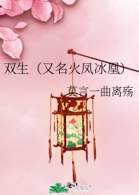 《双生(又名火凤冰凰)》