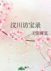 《汶川访宝录》