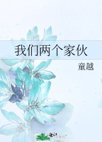 《我们两个家伙》