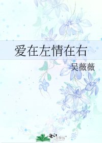 《爱在左情在右》