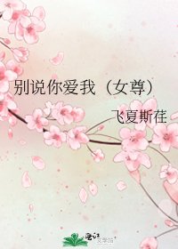 《别说你爱我(女尊)》