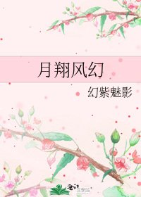 《月翔风幻》